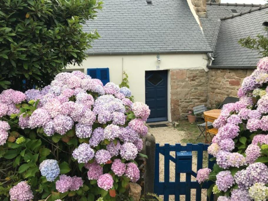 Charmante Maison De Pecheurs Trébeurden Eksteriør bilde